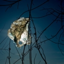 Plastic Bag, Bag Ban, Los Angeles (image from Change.org's Denver Ban)